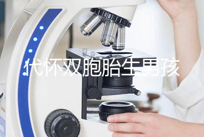 代怀双胞胎生男孩